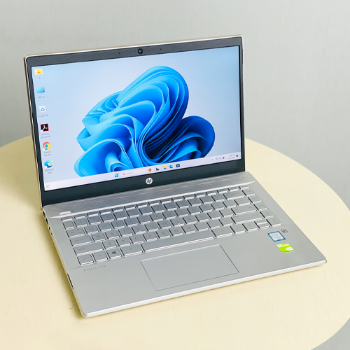 HP Pavilion14 i5 8th Gen 8GB 256GB SSD + 1TB